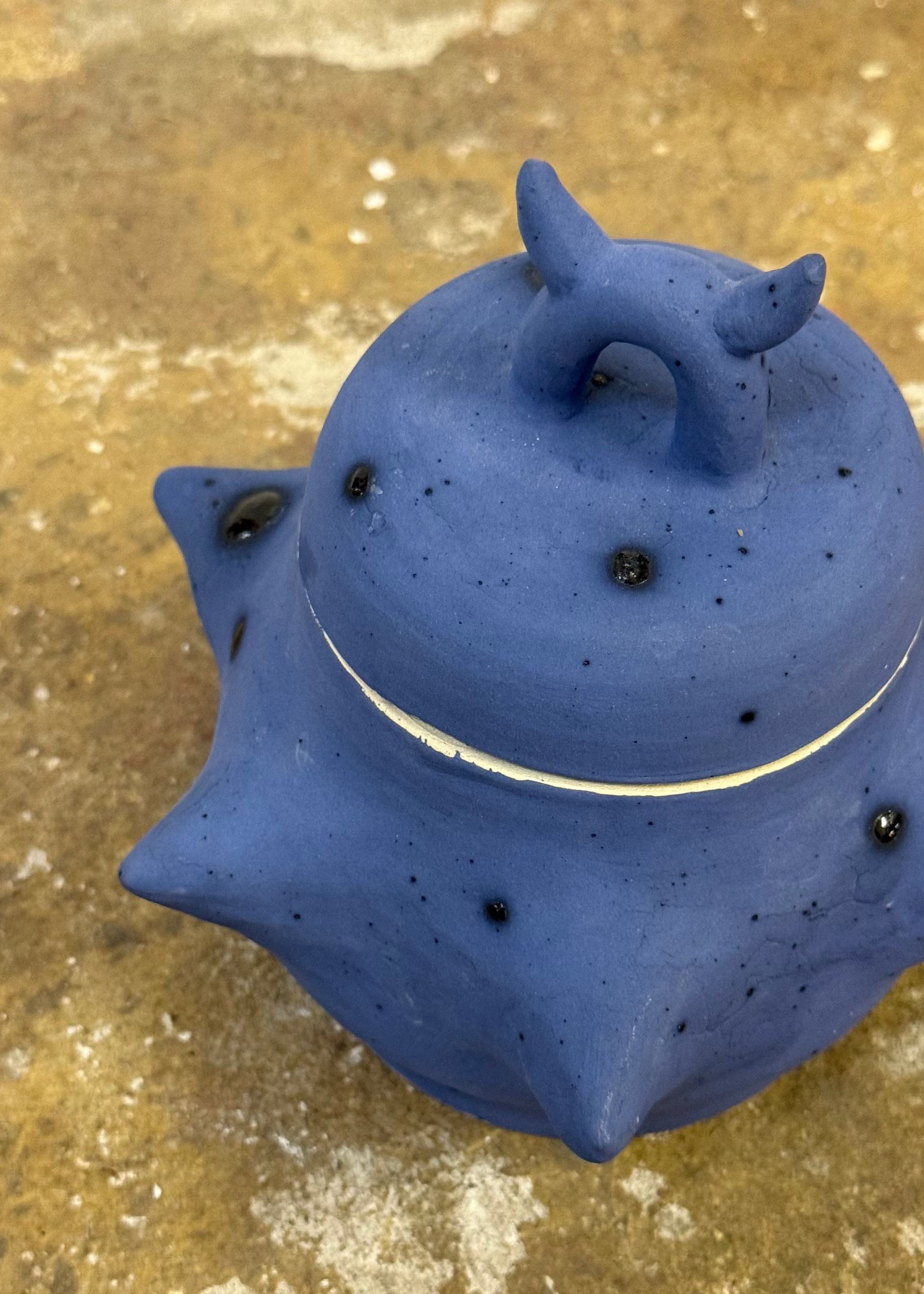 Jess Rayner Ceramics | Lidded Jar