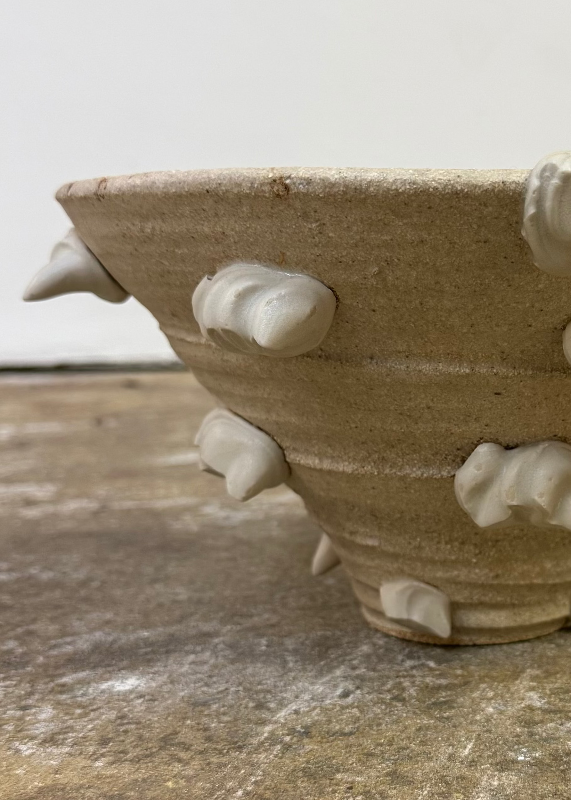 Joe Hartley | Pearl Club Bowls