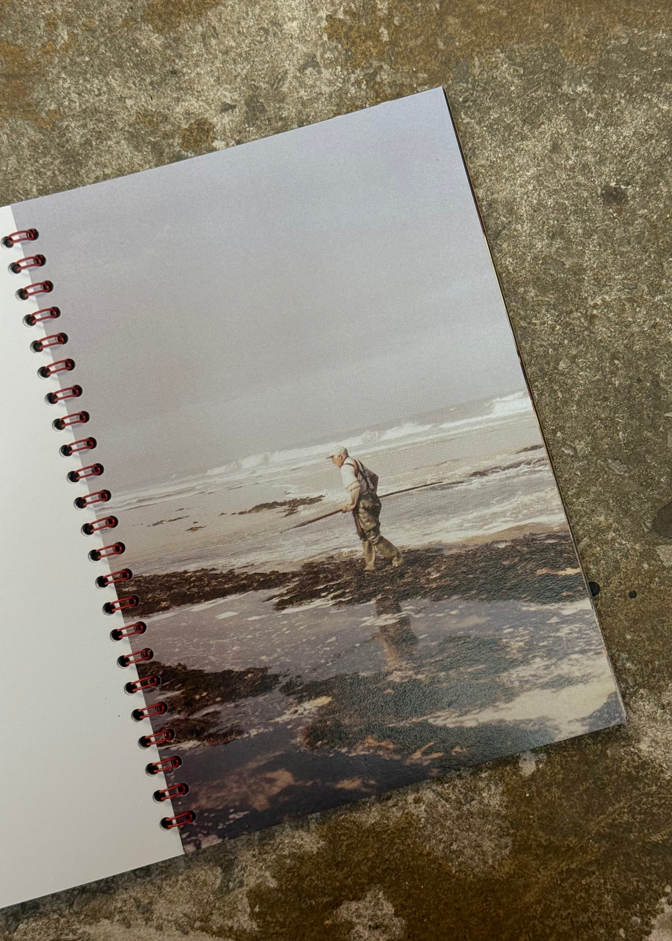 Sepúlveda Fialho | Around Home