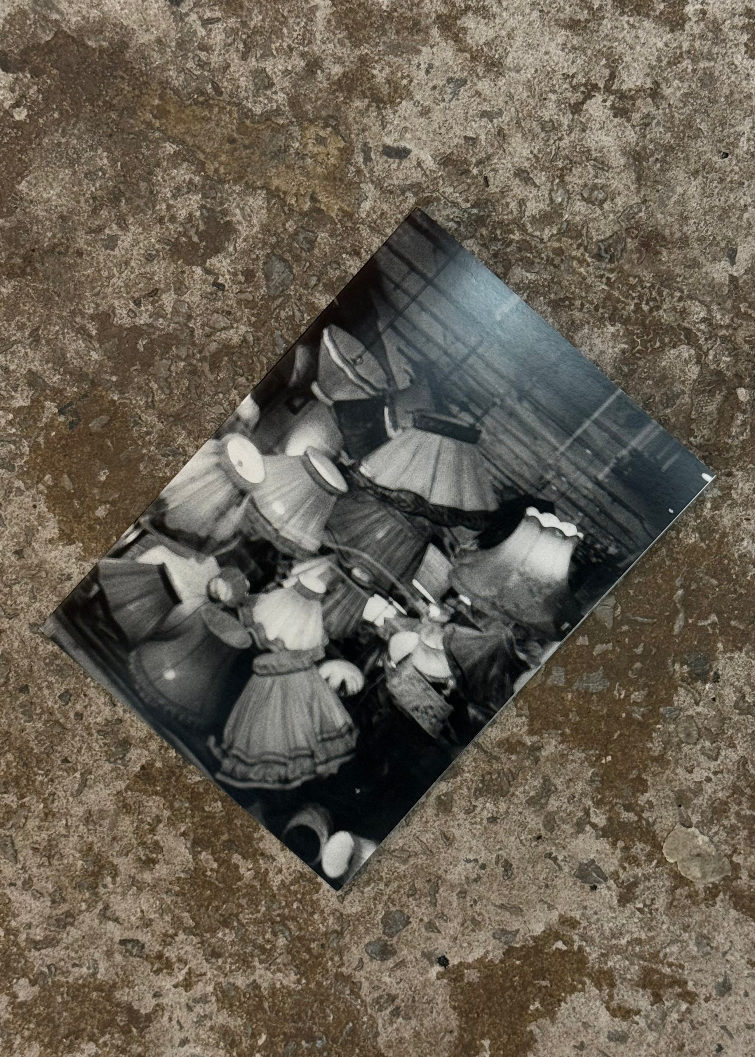 Sepúlveda Fialho | 3 Butterflies