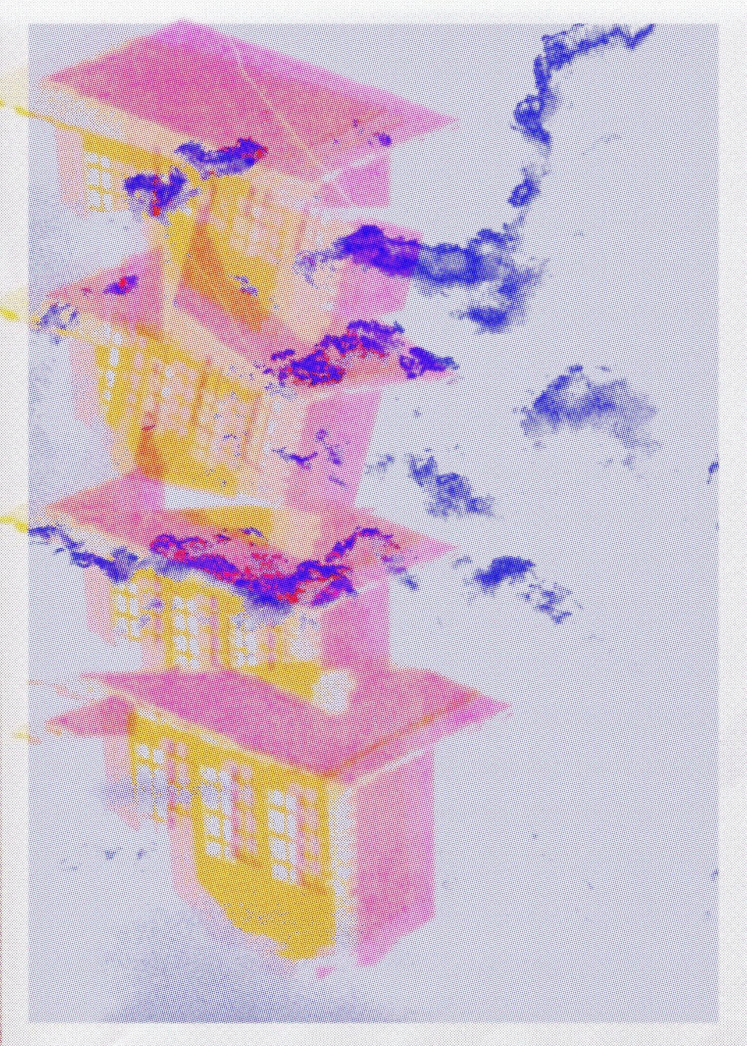 Anna Billany | A4 Risograph Print - ‘Home Lonely’ (2024)